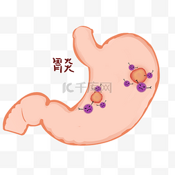 牛的内脏部位图图片_胃炎肠胃炎肠胃内脏人体疾病医疗