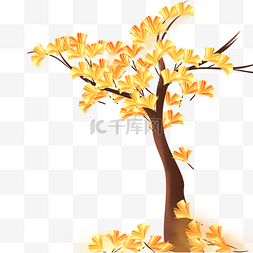 银杏叶飘落植物树木秋天