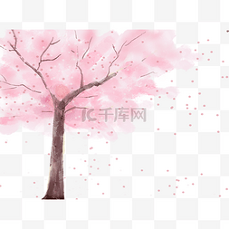 樱花樱树