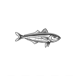 海科融通logo图片_海水黄铜孤立鱼单色图标媒介蛇（