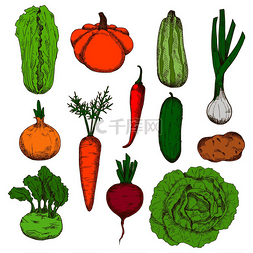 红辣椒叶子图片_健康营养的马铃薯、南瓜和甜菜、