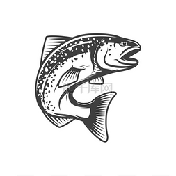 干锅河鱼图片_淡水或河鱼的鲑鱼、钓鱼或食物矢