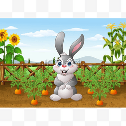 卡通兔子与胡萝卜花园里的植物