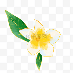 黄色花卉绿叶金色线描