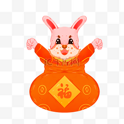 新年春节兔子福袋