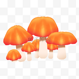 秋天食物蘑菇菌菇植物