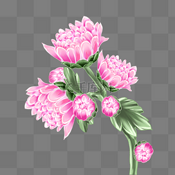 淡粉色高光图片_化妆品特效植物花朵粉色春天植物