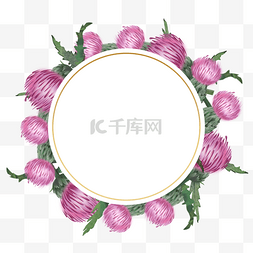 蓟花卉水彩圆形边框