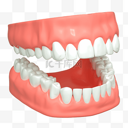 牙齿口腔图片_3DC4D立体牙齿模型口腔爱牙