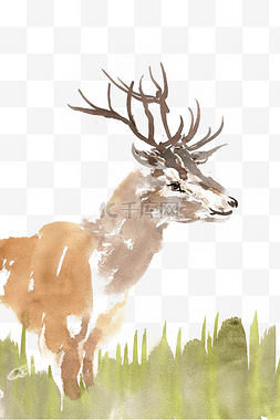 水墨画可爱的小鹿