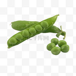 豆子蔬菜图片_豌豆自然维生素谷物