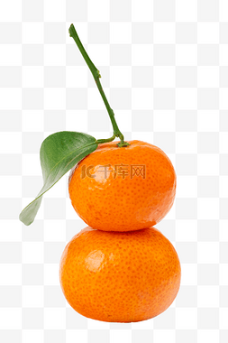 砂糖橘水果图片_两个橘子砂糖橘