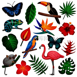 动植物图片_彩色和孤立的热带异国情调图标集