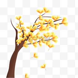 秋天银杏叶飘落植物树木