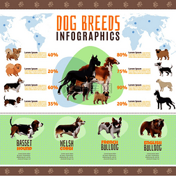 彩色狗品种信息图表与威尔士柯基