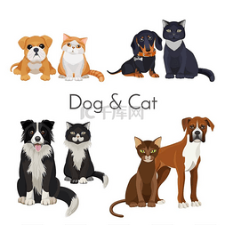 动物和婴儿的狗和猫宣传海报