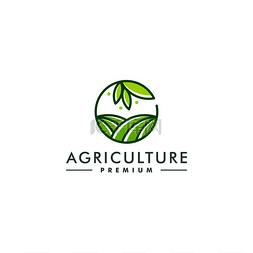 农业标识设计模板。农场图标符号