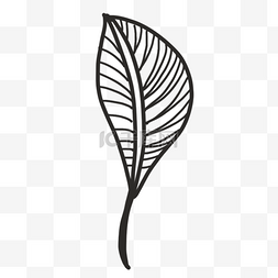弯曲镂空叶片雕刻风格植物叶子