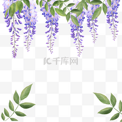 水彩紫藤花花卉叶子