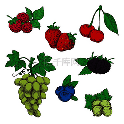 鲜绿叶图片_芬芳的野草莓、覆盆子、黑莓和蓝
