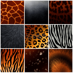 动物9图片_真实和人造的异国毛皮纹理颜色图