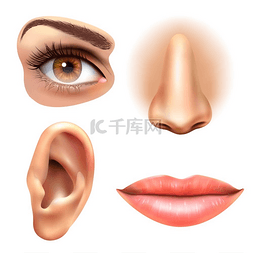 耳朵设计图片_眼耳唇鼻图标集人脸部分4个感官