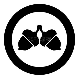 圆圈中的两个橡子图标圆形黑色矢