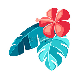 芙蓉树图片_芙蓉花和棕榈叶的插图。