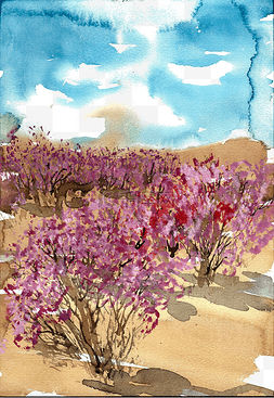 红色天空图片_沙漠里的花