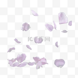 紫色梦幻字体图片_粉色花朵花瓣