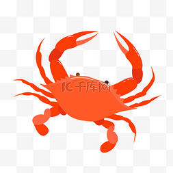 橘色的螃蟹图片_矢量扁平美食螃蟹海鲜