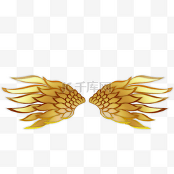 金色质感羽毛图片_横向展开金色翅膀