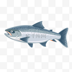 海鲜鱼鲜图片_卡通手绘海鲜三文鱼