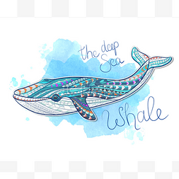 鱼的水彩画图片_Patterned whale on grunge background