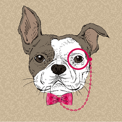 in素材图片_French Bulldog in Pink Tie Bow and Monocle