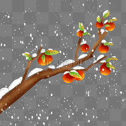 枯树雪图片_冬天堆雪树枝果树