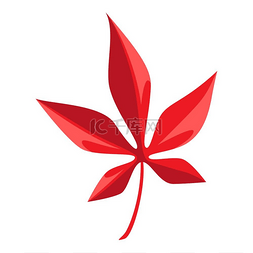 红枫装饰图片_红枫叶的卡通插图。
