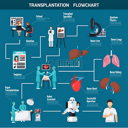 肺的图片_移植流程图布局与患者外科医生的