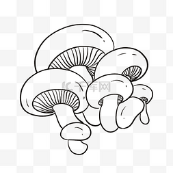 蔬菜线描png图片_黑白线描蔬菜蘑菇