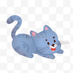 蓝色小猫图片_蓝色猫咪小猫