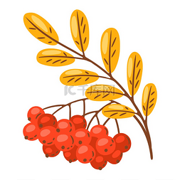 罗望子枝条与浆果的插图季节性秋