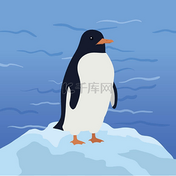 海洋冰山图片_有趣的企鹅插图。