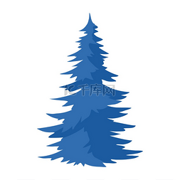 云杉插图蓝色树的自然图标或图像