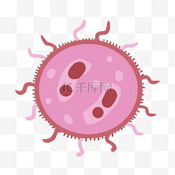 卡通触须图片_粉色卡通可爱细菌微生物