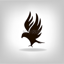 黑老鹰展翅