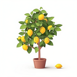 柠檬树卡通图片_一颗结满柠檬的柠檬树