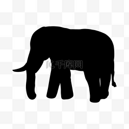 大象剪影成年雄性