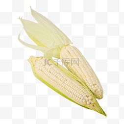白玉米棒图片_甜糯玉米水果玉米