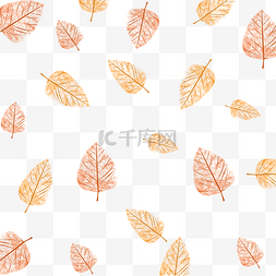 秋天 秋季 植物 叶子 食物 底纹 纹