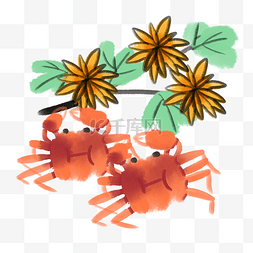 水墨菊花螃蟹